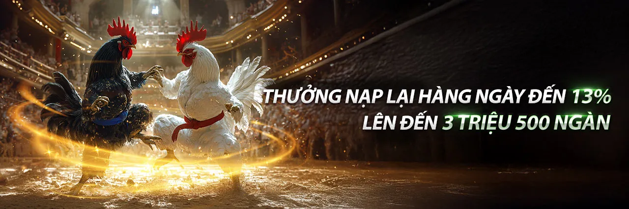 Giao diện đăng nhập 8k77777 chính thức với chủ đề xanh vàng sang trọng